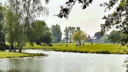 Idyllische Natur am Rittergut