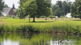 Idyllische Natur am Rittergut