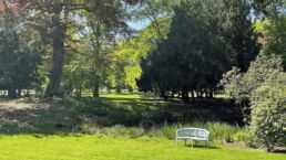 Parkbank im Landschaftspark