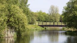 Idyllische Natur am Rittergut